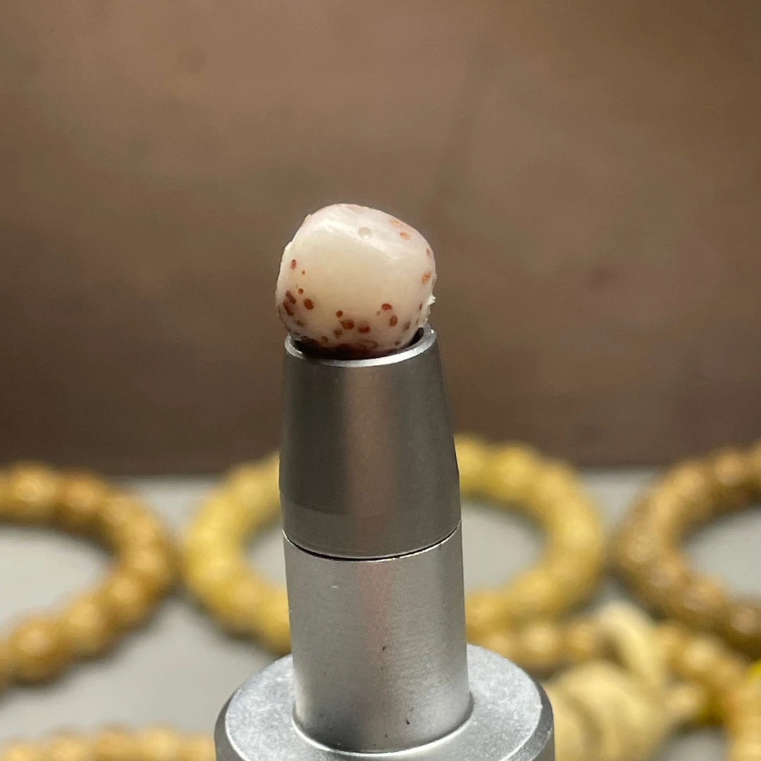 3海南原生态星月菩提改价链接