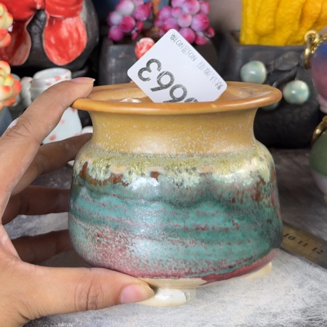 重庆小燕子欢迎那家663