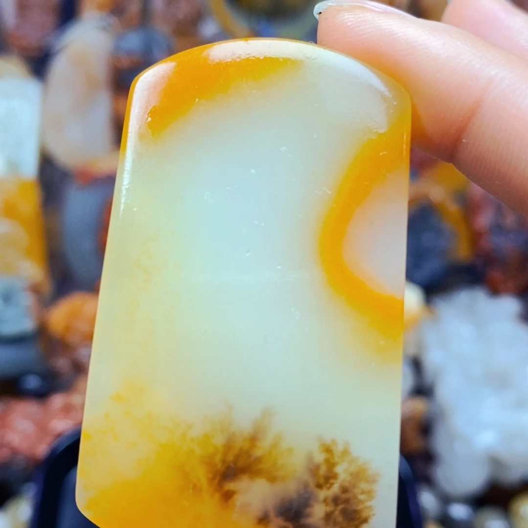 石英质玉（黄龙玉）未镶嵌颈饰