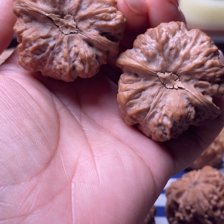 ****山大叶紫檀（黑酸枝木类）文玩核桃蛤蟆头全品