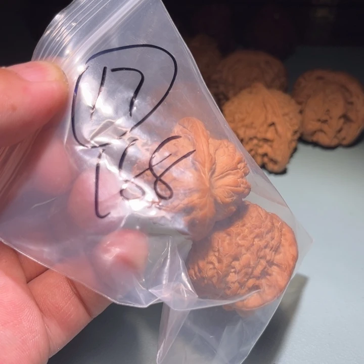 楠***0文玩核桃吊坠17呃呃呃呃