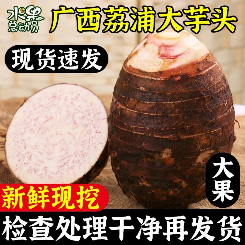 广西荔浦新鲜大芋头正宗农家现挖9斤粉糯香芋槟榔紫藤毛芋包邮