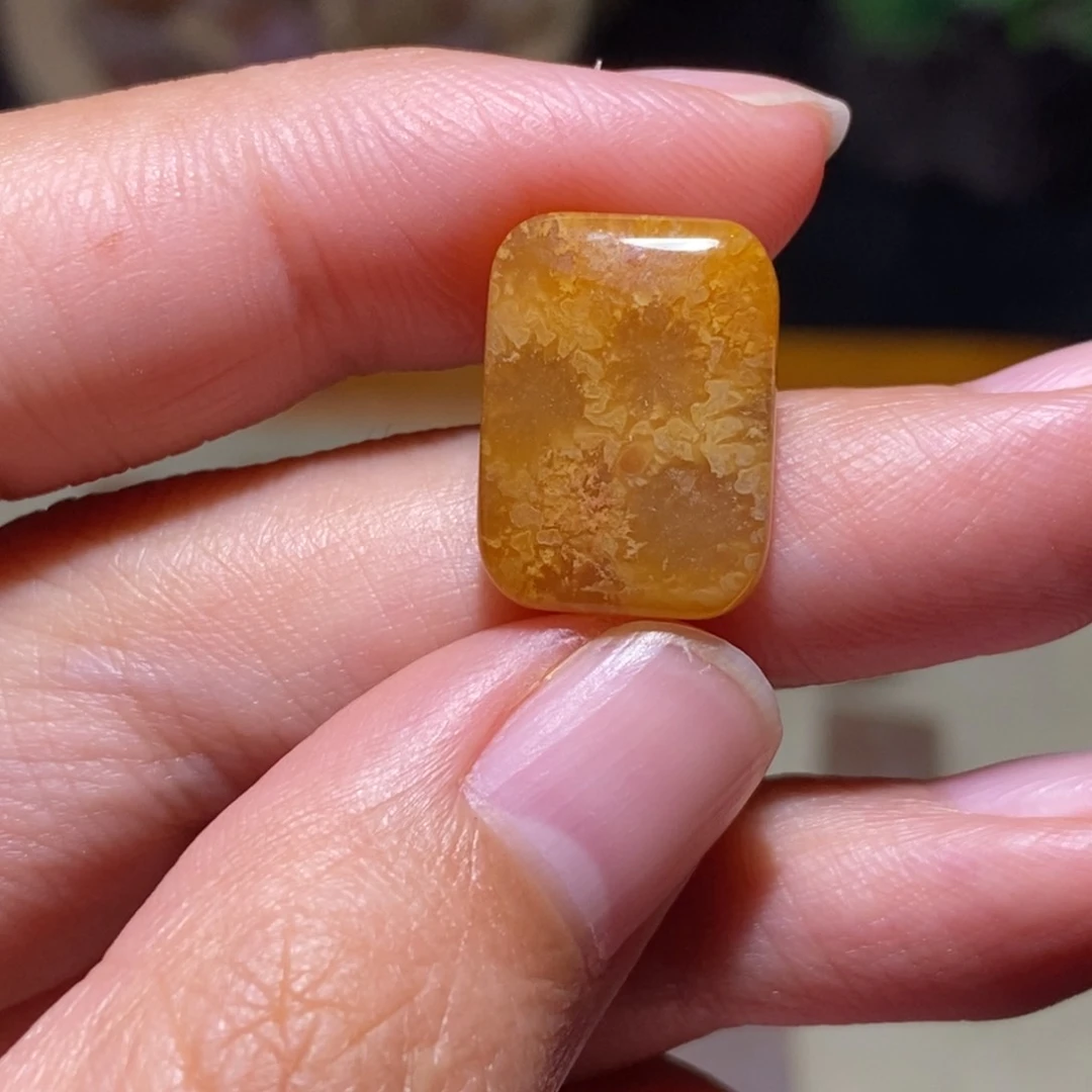 【闪购商品】硅化玉颈饰未镶嵌