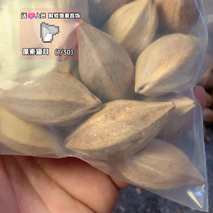 萧***一橄榄核手串/手链老挝核29颗