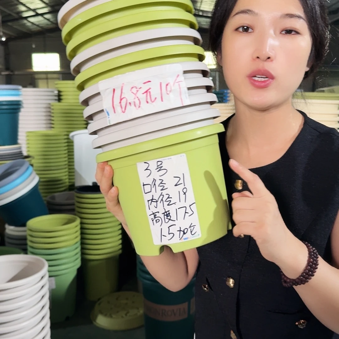 微瑕3#口径21无拖果绿10个