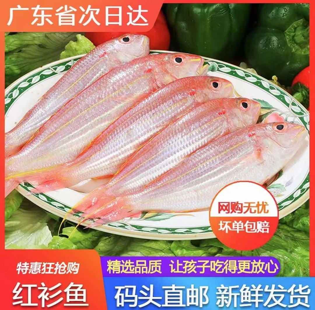 野生海钓新鲜红杉鱼2-3条/斤 速冻锁鲜顺丰包邮