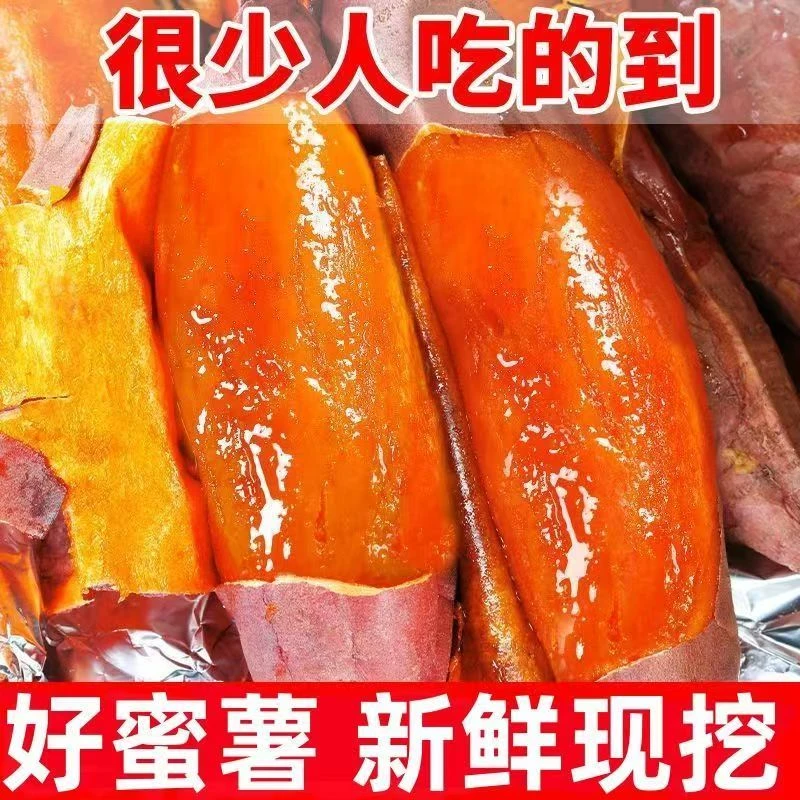 正宗糖心流油烟薯25号蜜薯新鲜软糯香甜烤地瓜烤地瓜机器摆摊红薯