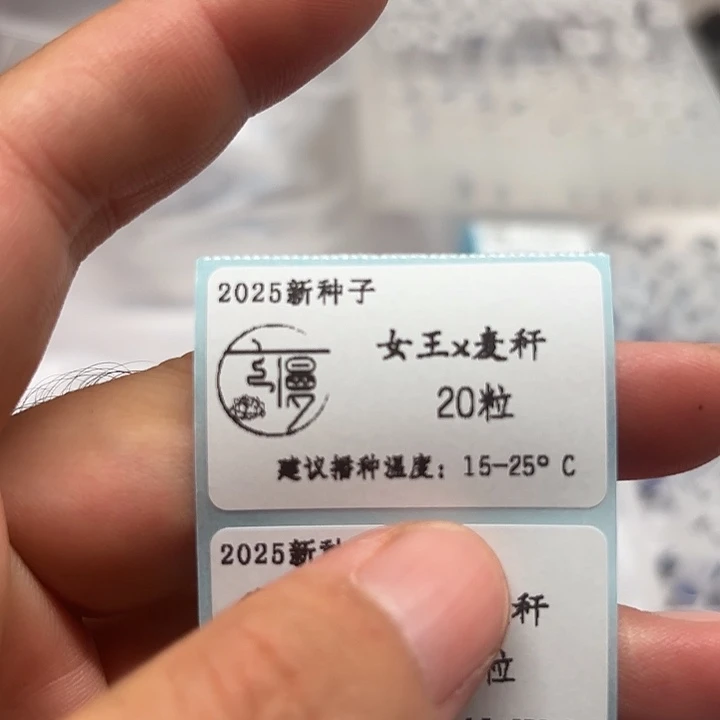 如图2025新种子女王杂麦秆20粒