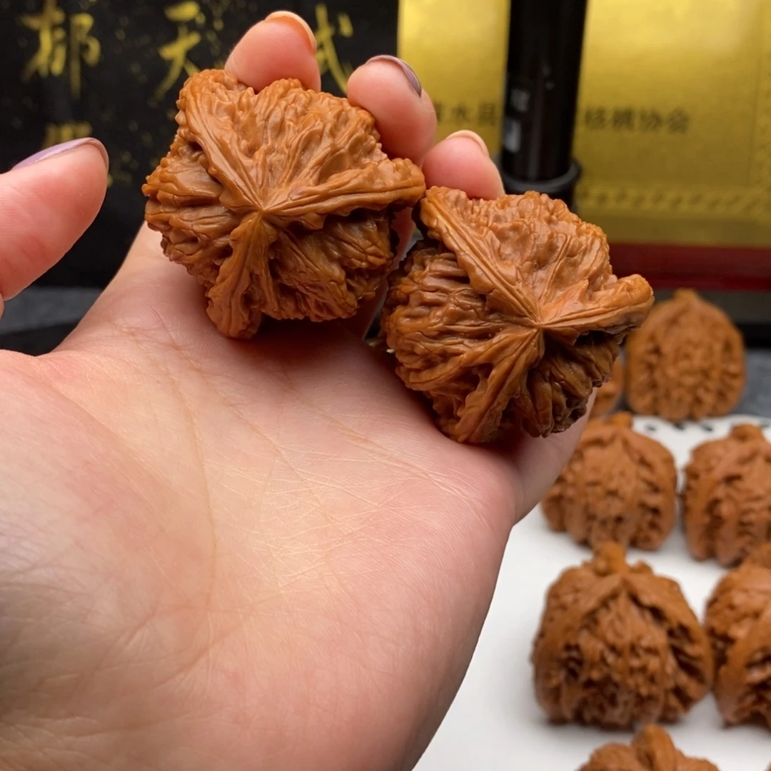 天*熠白狮子111111