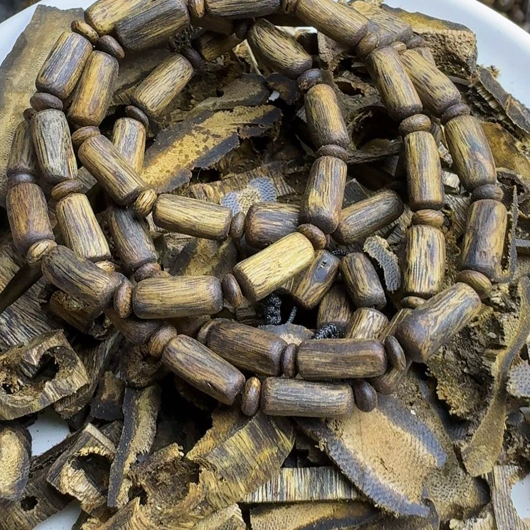 木海南老白棋多圈原材料