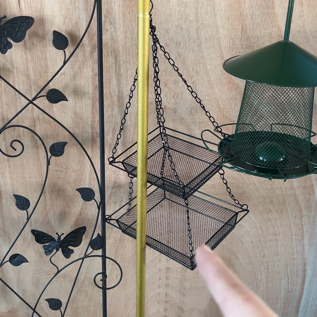 孤品炸炸炸炸炸炸