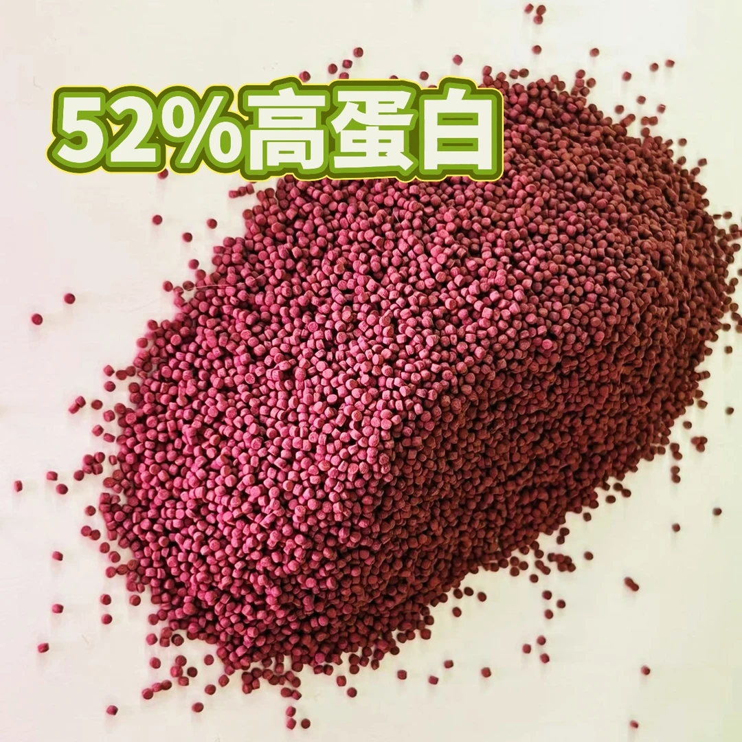 52%高蛋白育苗饲料颗粒下沉型促发色泰狮兰寿