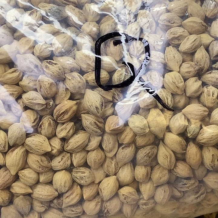 Q***.吊坠柏香籽/百香籽