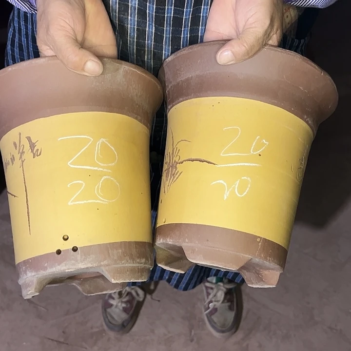 紫砂艺术学院美术