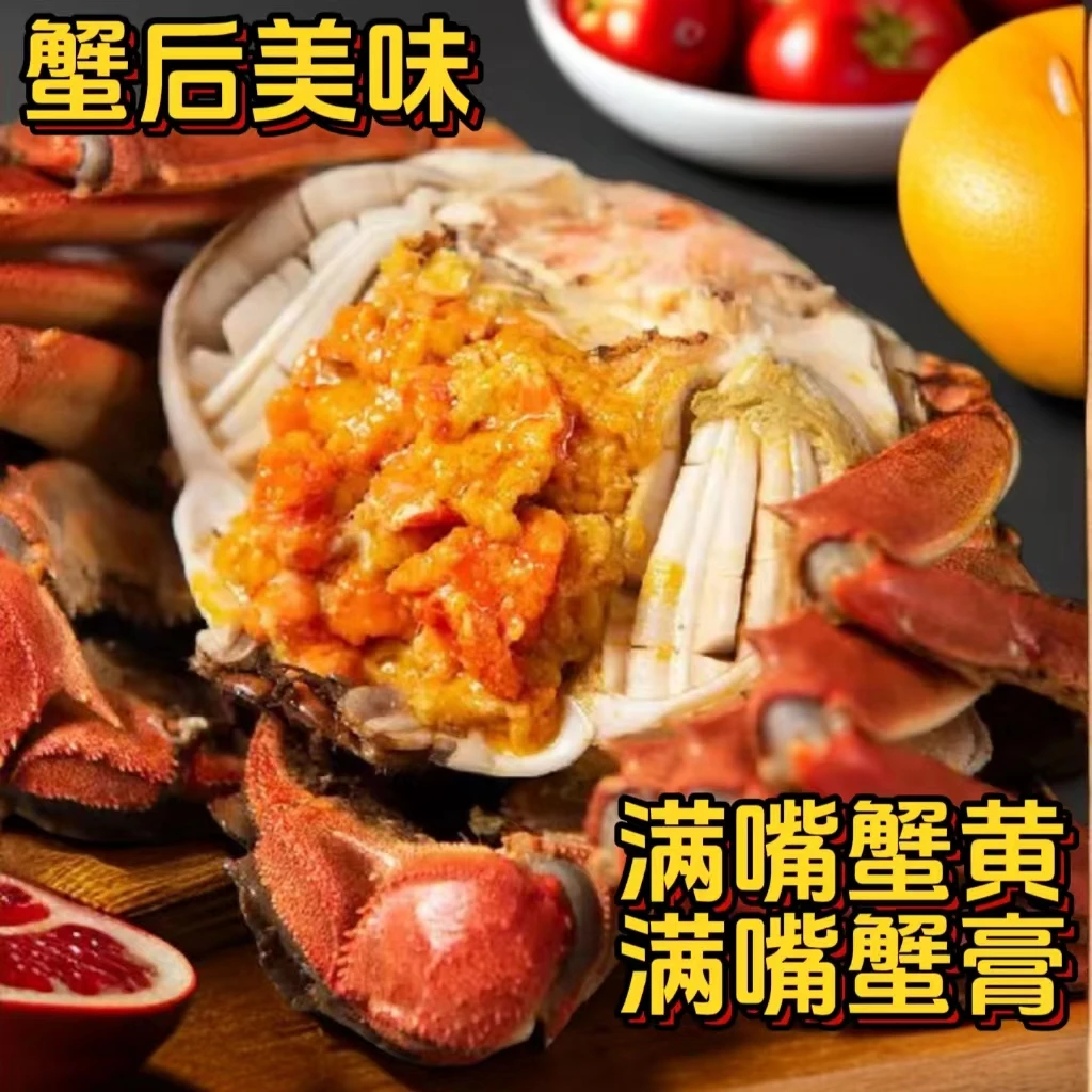 【活蟹】坝道蟹总精品大闸蟹全母金标蟹2.6-2.3两8-10只装礼盒包装