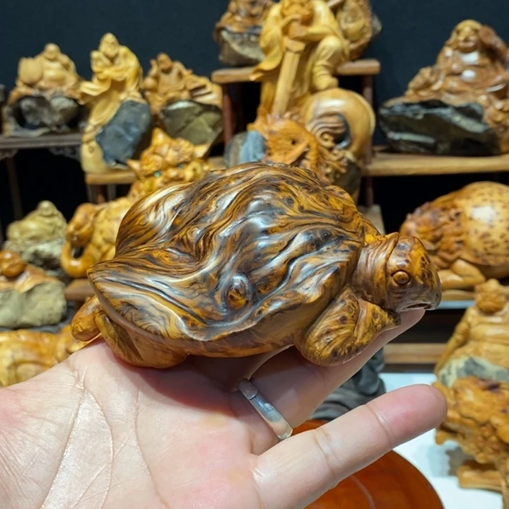 柏木（崖柏）崖柏黑金瘤金钱龟