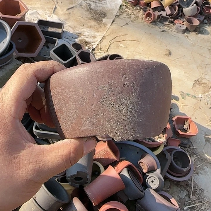 这一期太有意思咯好棒好