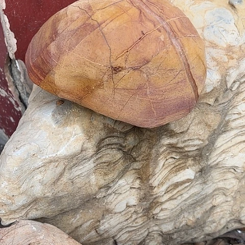 无花朵金**晓家居装修效果图