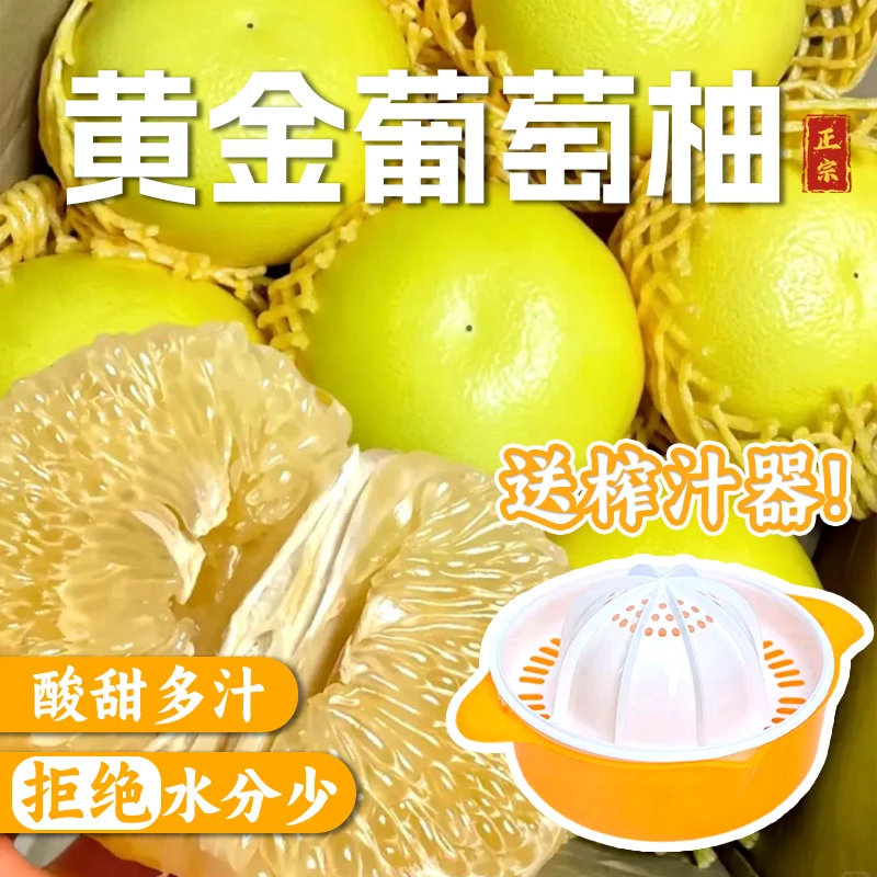 福建黄金爆汁葡萄柚孕妇应季水果中秋整箱现摘现发多汁清甜