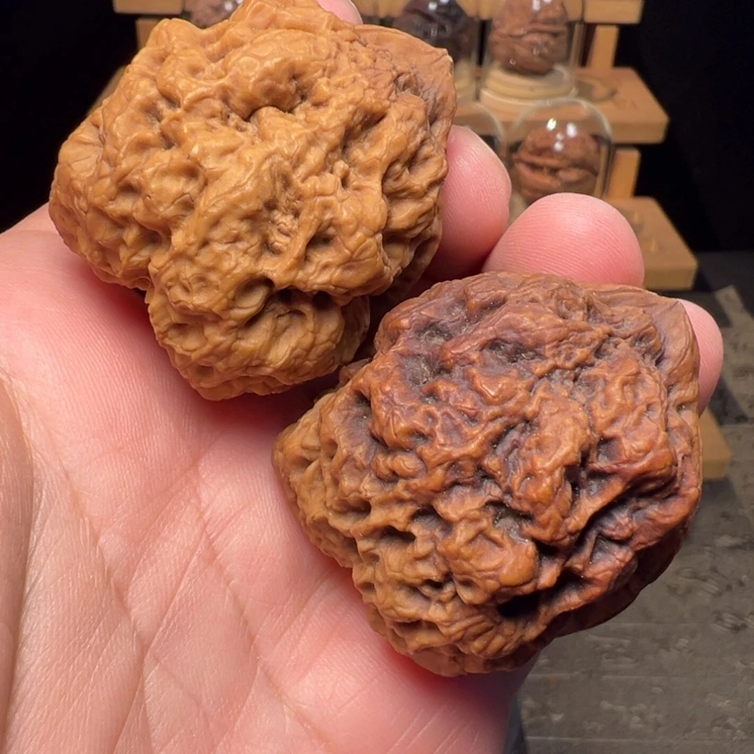 文玩核桃把件火凤凰43mm