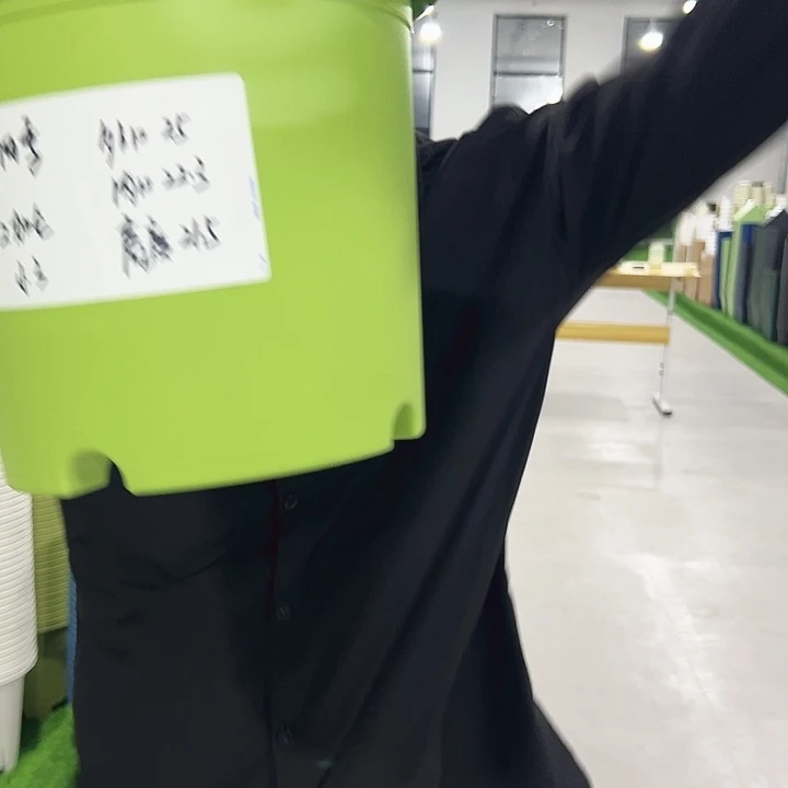 特价4号口25高21.5果绿色8只无托