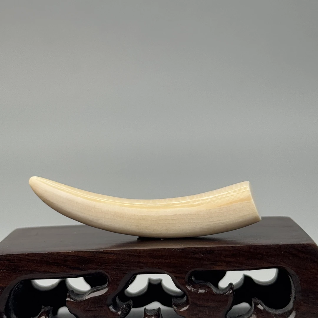 DEZHI/德志6.9g带皮牙尖56*12*10mm猛犸牙默认打孔配吊坠绳K310