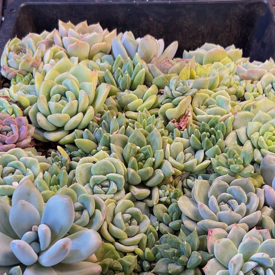 509的人了吧哈哈哈哈哈哈哈哈哈哈哈哈哈
