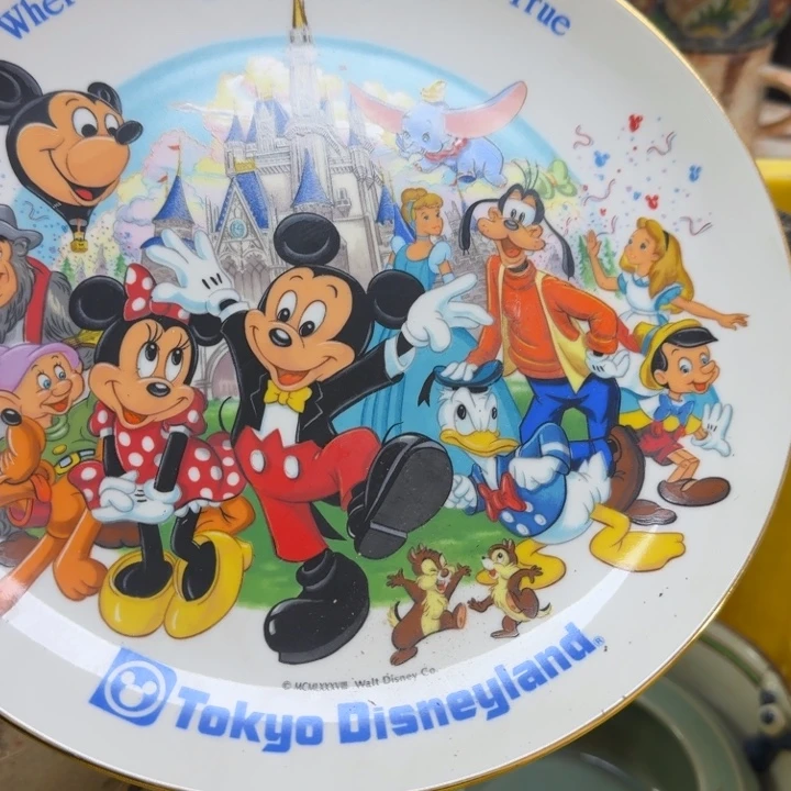 瓷片开播啦…开播啦！