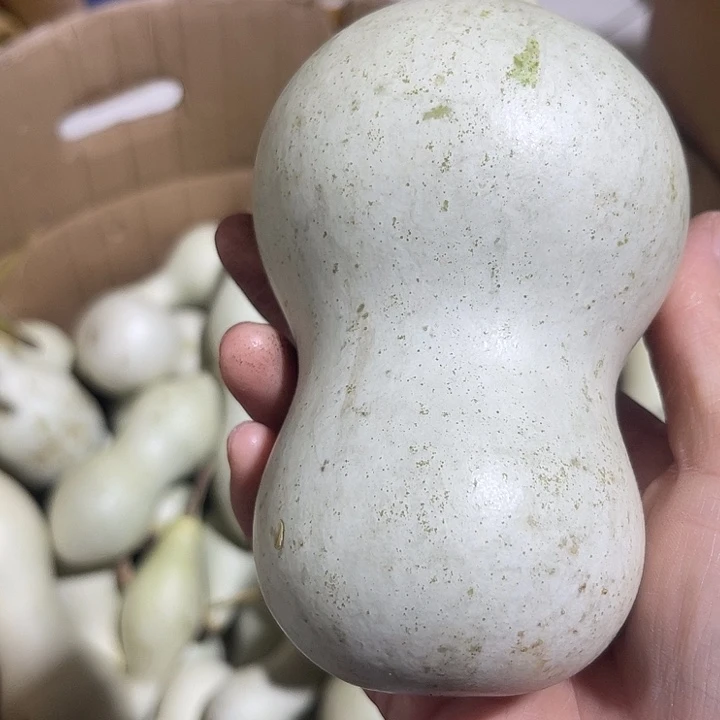 大果紫檀（缅甸花梨）用****4