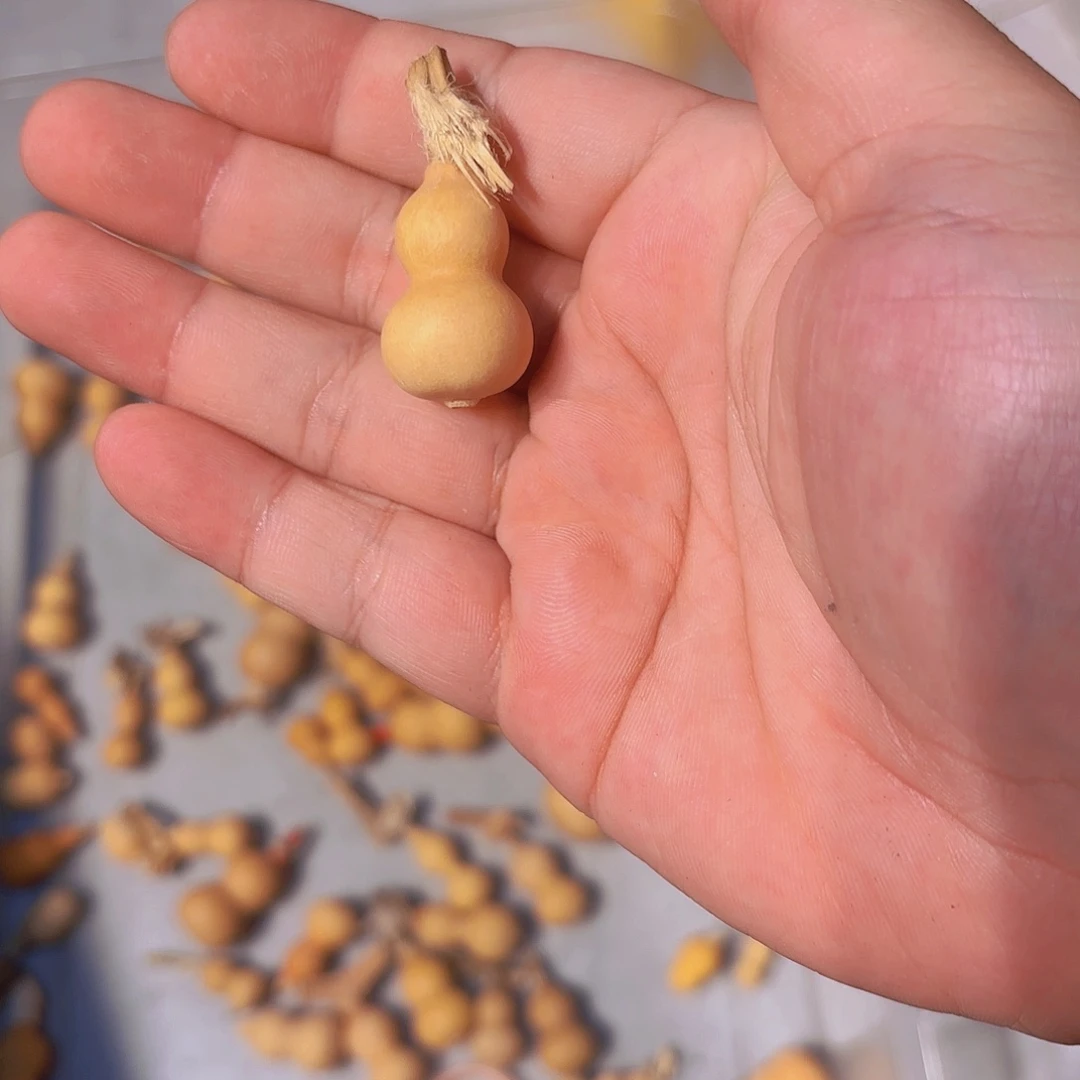 霸***2哈哈哈哈哈哈哈哈哈哈