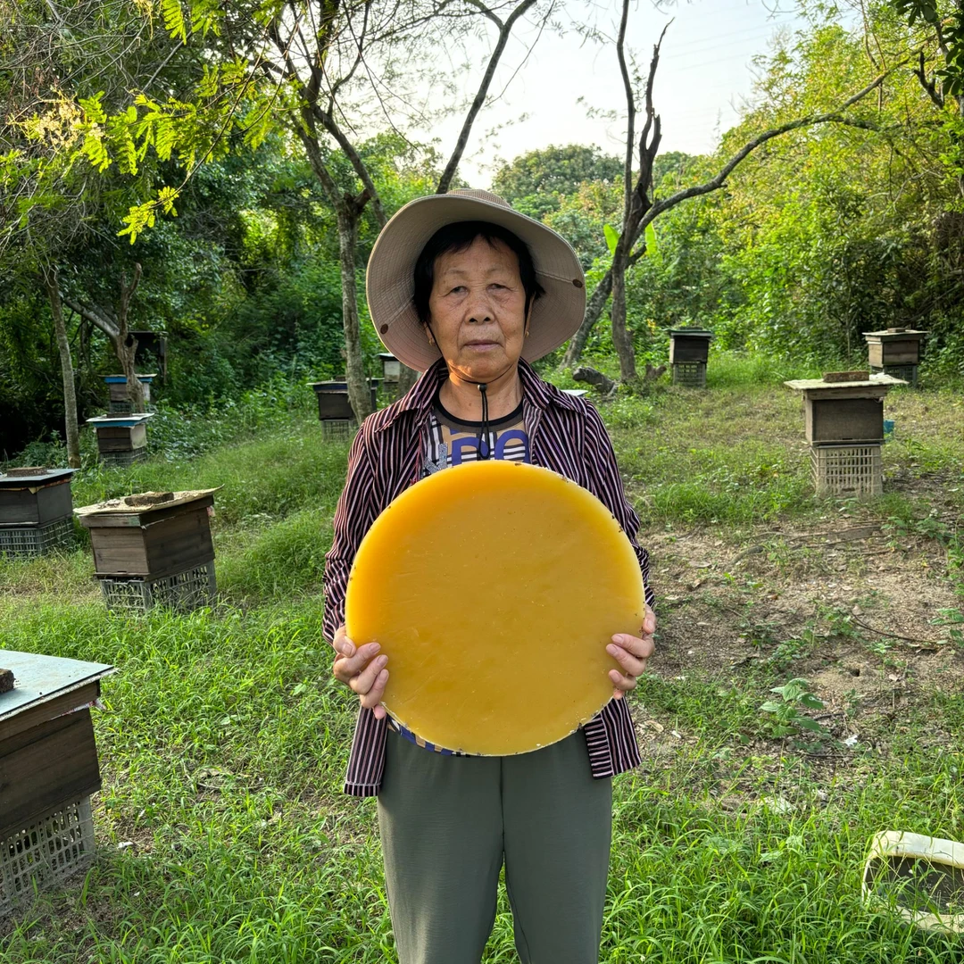 正宗诱蜂蜡中蜂土蜂蜡老巢脾诱蜂蜡户外诱蜂蜡天然清香