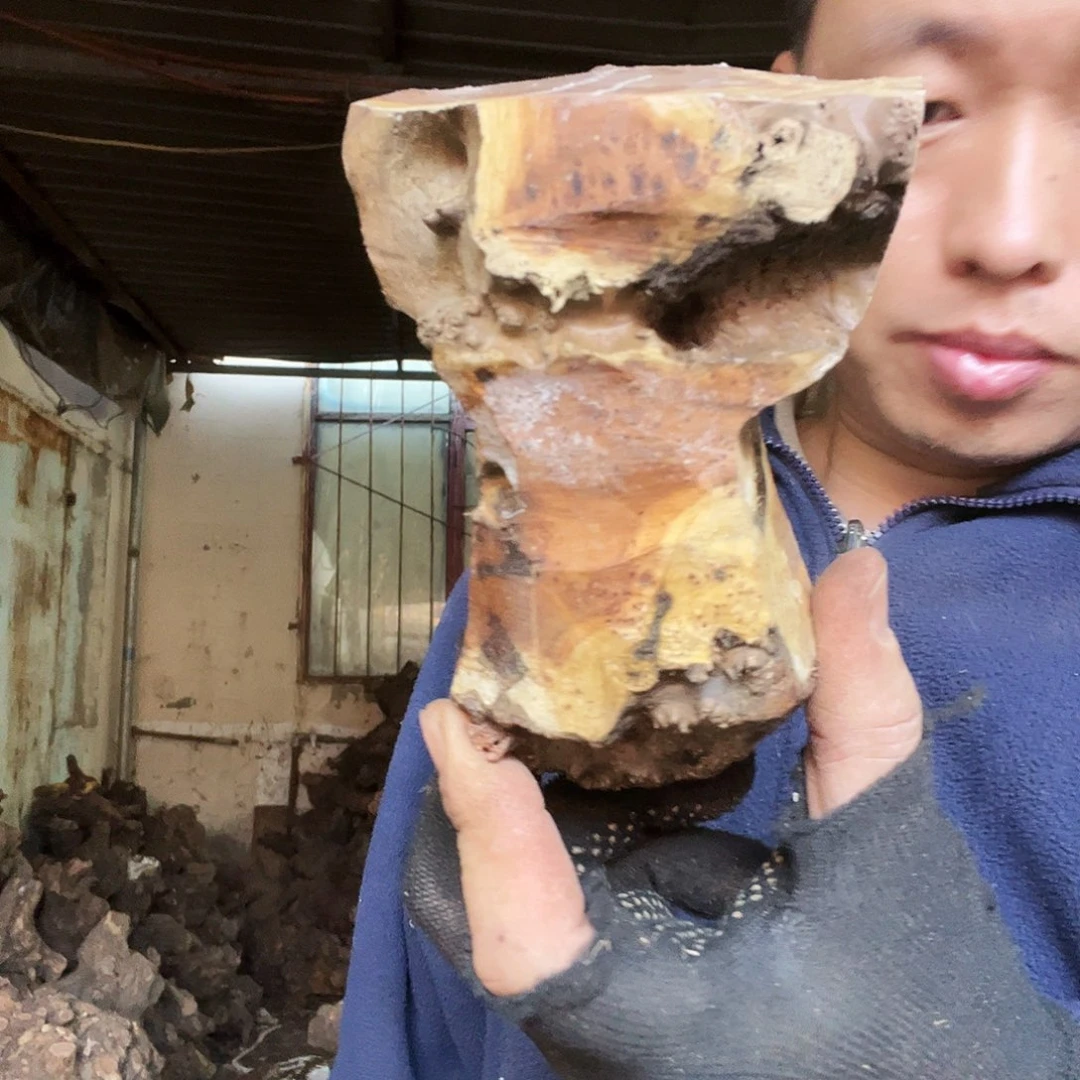 尚***制无花朵000000000000271