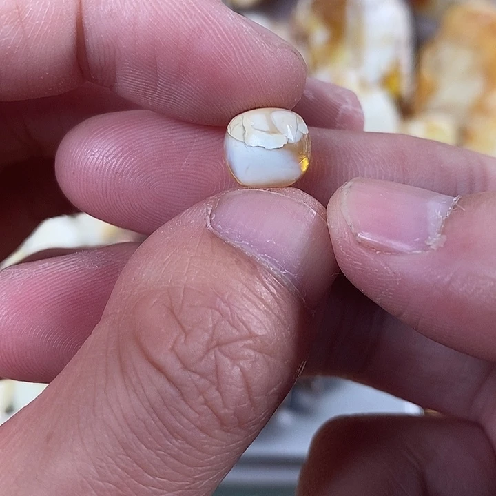 琥珀未镶嵌裸石我