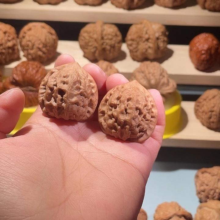 原树小众金鱼肚狮子头核桃全品