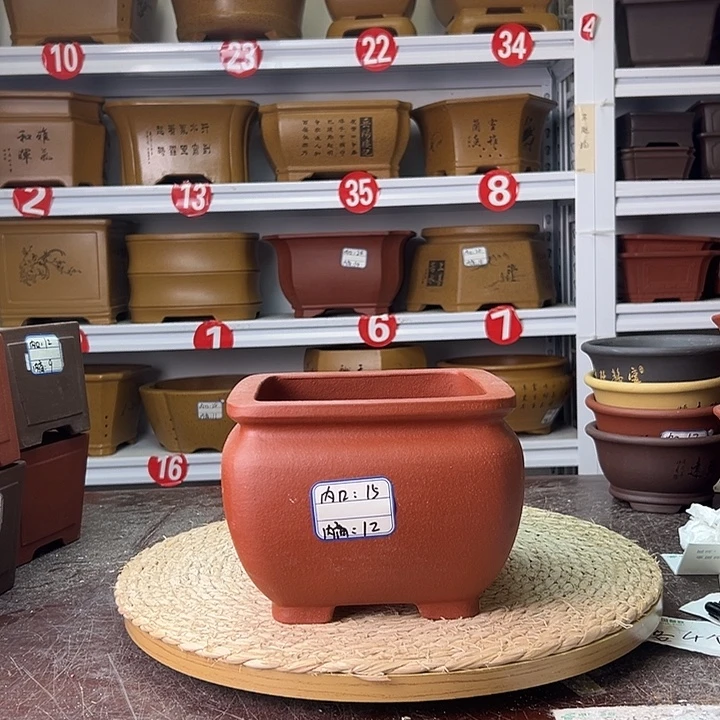 花盆紫砂蛇年大吉