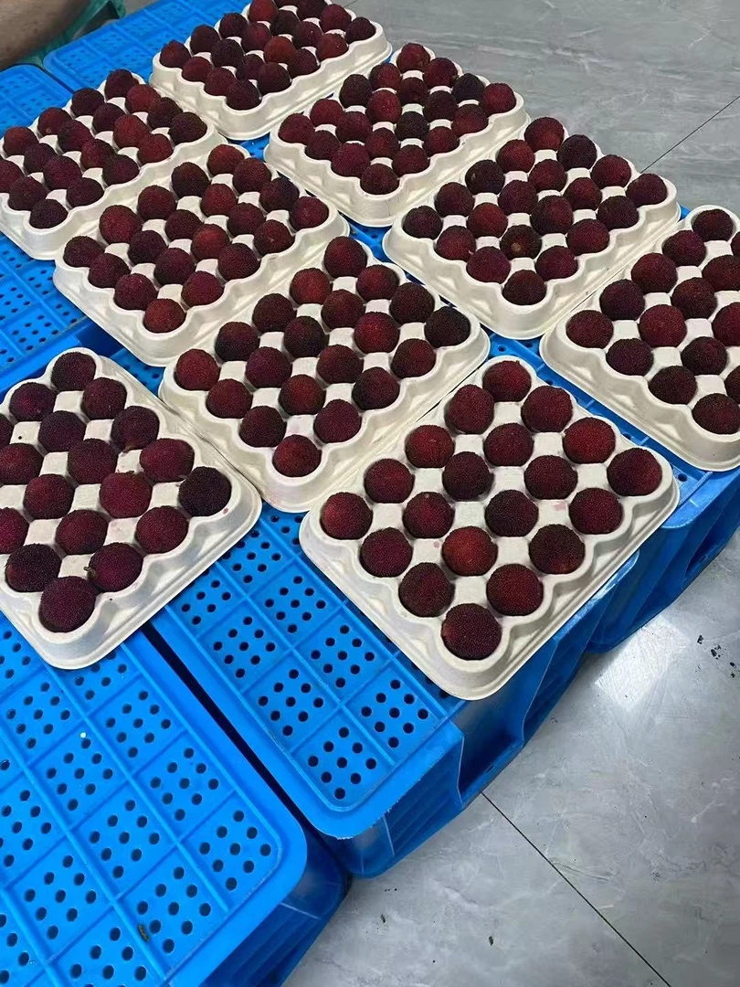 仙居东魁杨梅   30-35克   精度玻璃去皮充电电子秤