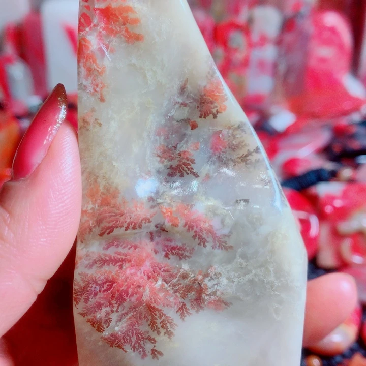 无***马巴林石巴林石鸡血草