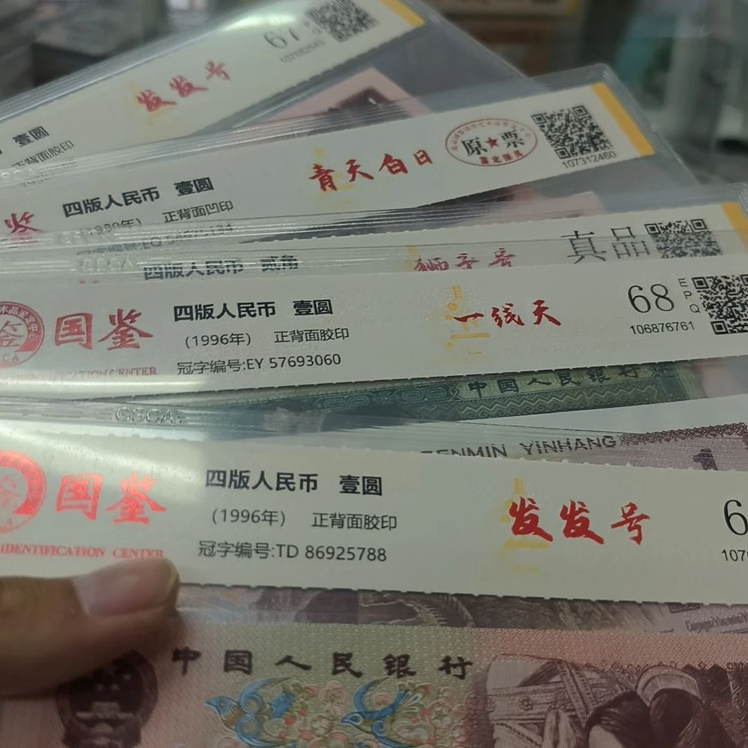 五张福利(特惠专属价)