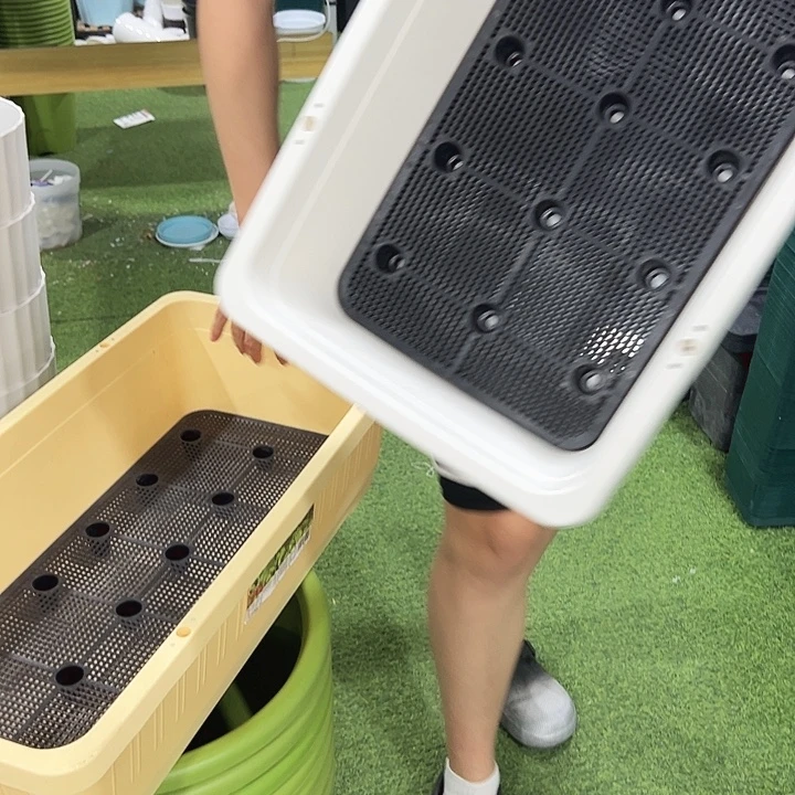 大菜盆长67宽34高18.5混色带内托2只