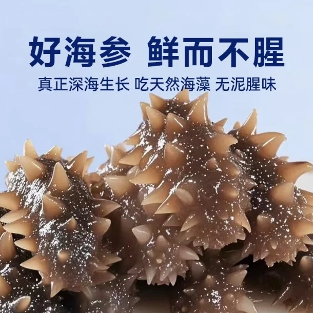即食海参辽宁大连刺参鲜食500g独立袋装非鲜活海渗