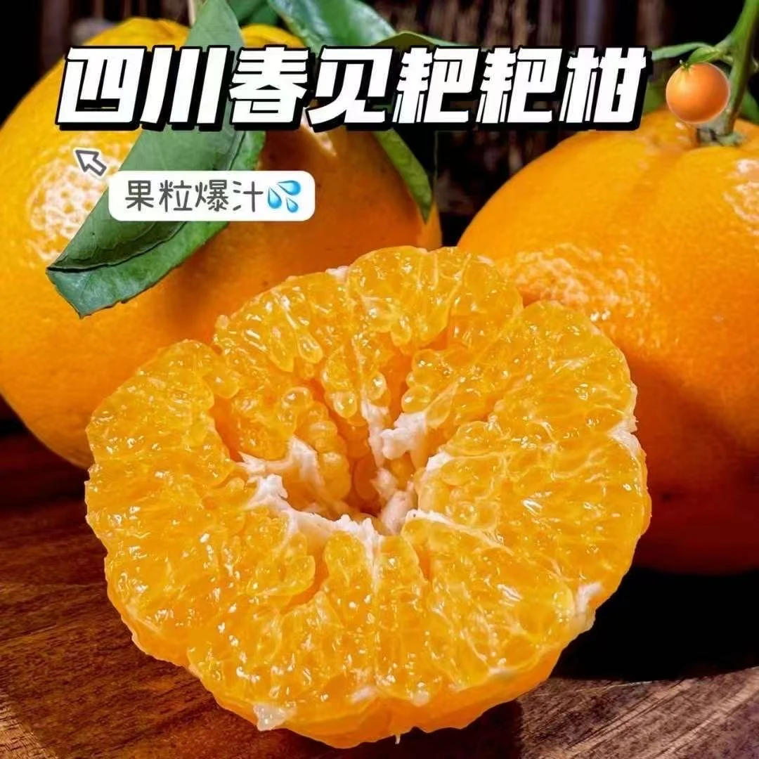 三亩田春见耙耙柑5斤毛重全甜四川省