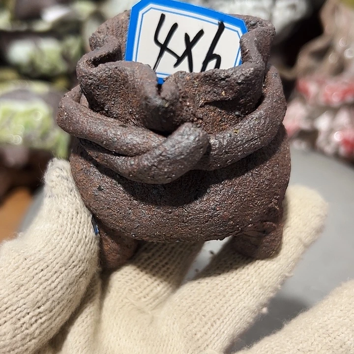 粗陶花盆，现在都不一样呢