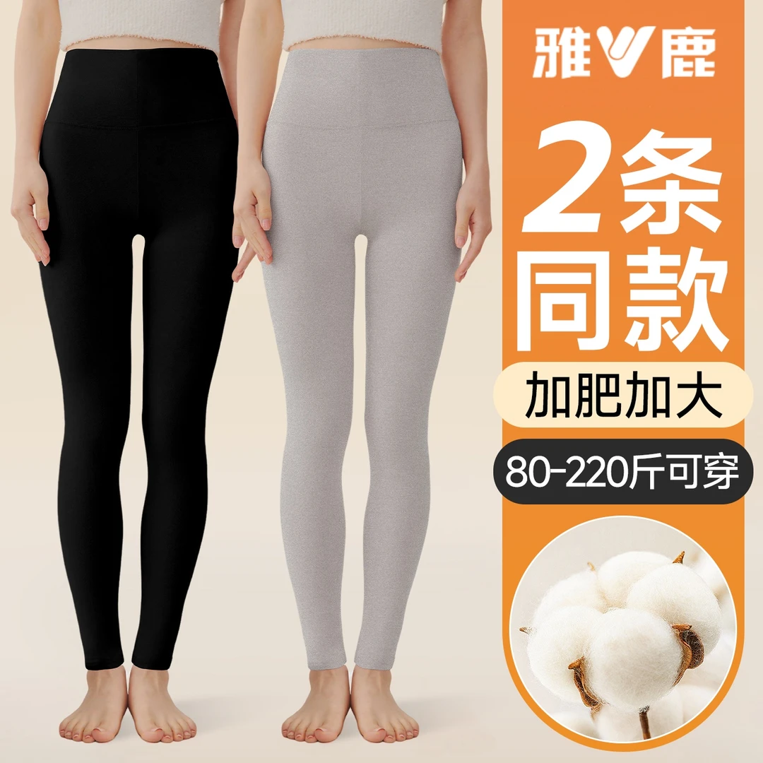 雅鹿A类纯棉高腰女士秋裤女款大码保暖裤抗菌全棉毛裤打底裤线裤