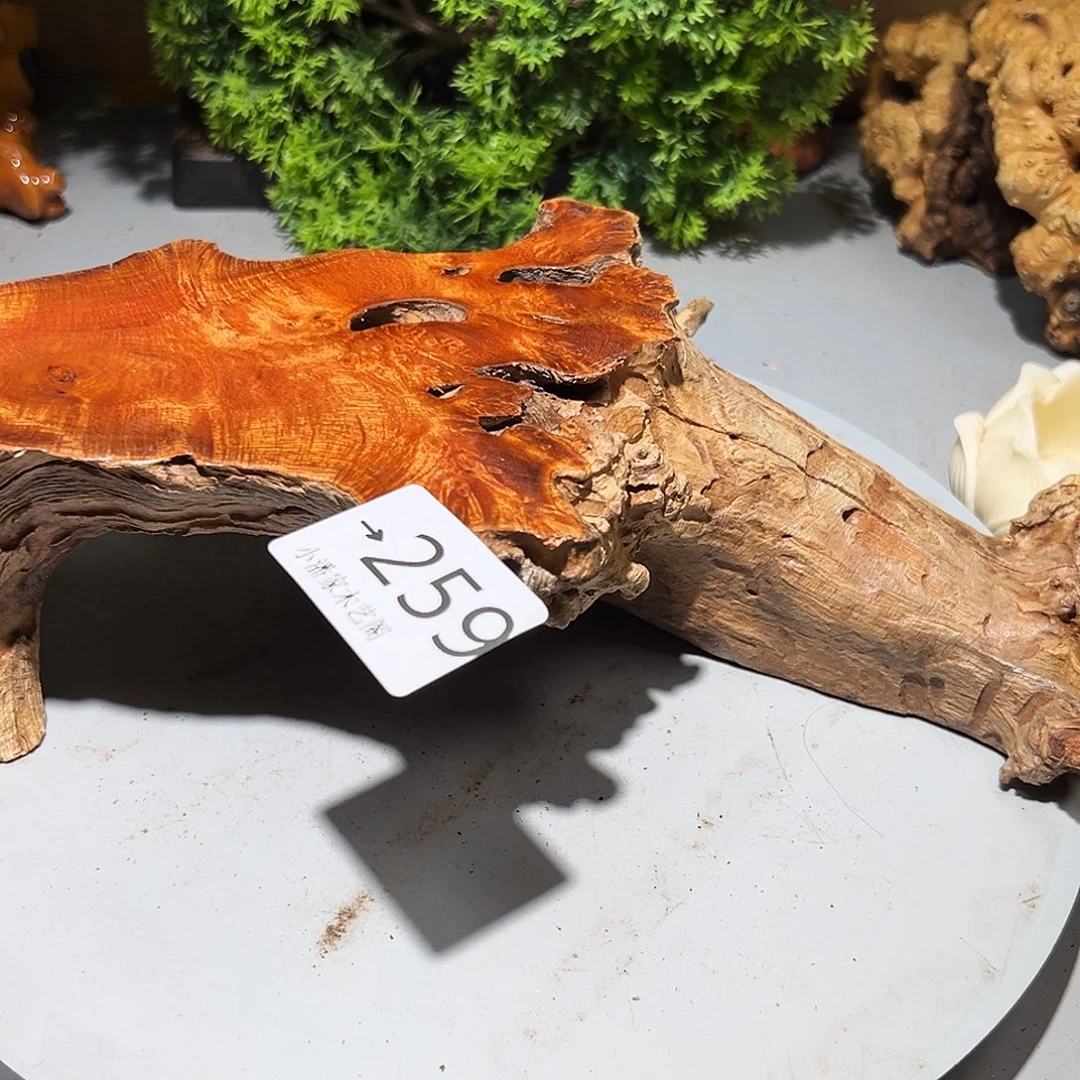 国***清香榧木火琉璃……火琉璃