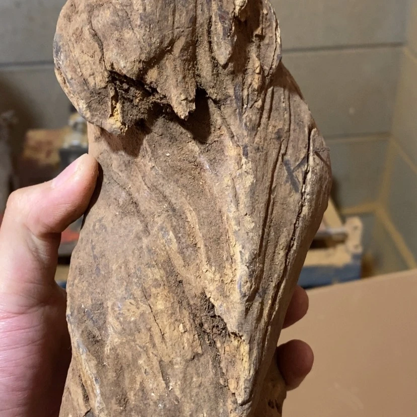 【闪购商品】贡木其他菜**子，125544555