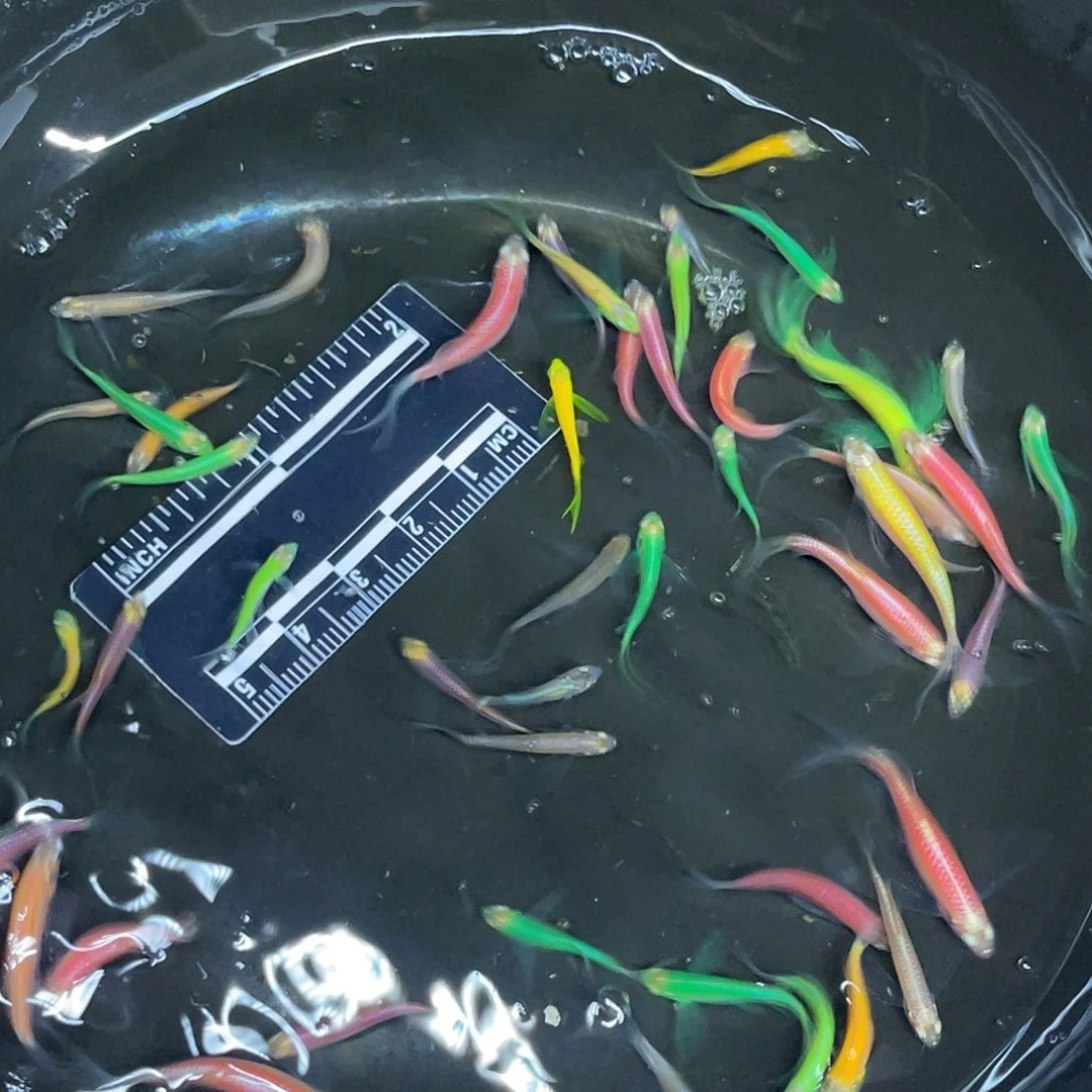 海星1-40号哈哈哈哈哈哈