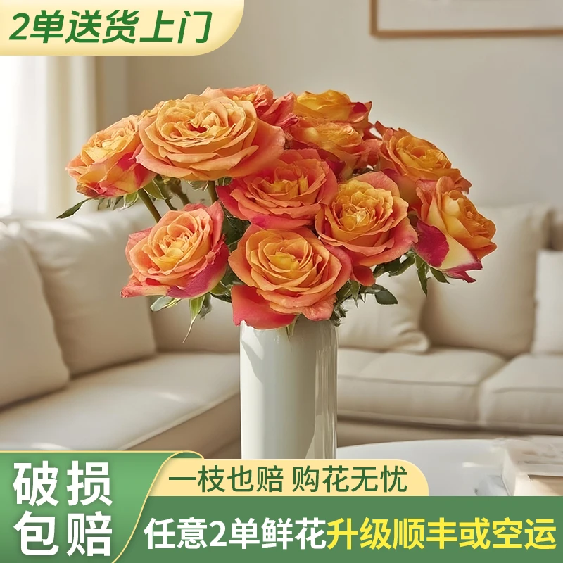 【云上花卉】欢乐颂单头玫瑰-任意2单鲜花包邮 发货后不支持退款