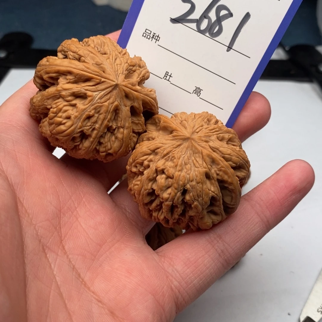 文玩核桃把件2681