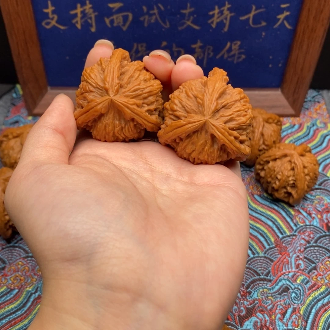 【闪购商品】V****G白狮