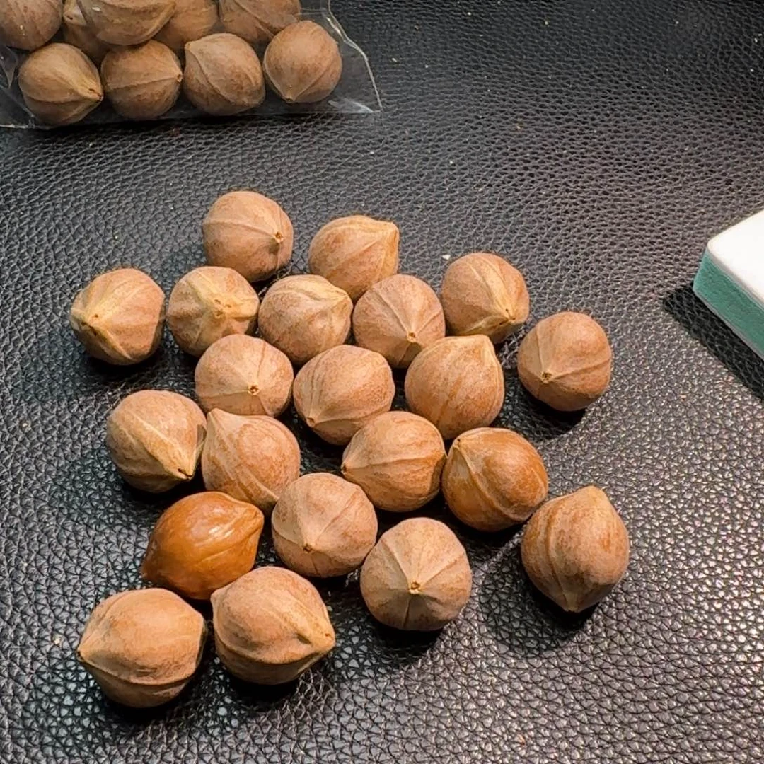 鱼***线手串/手链橄榄核1